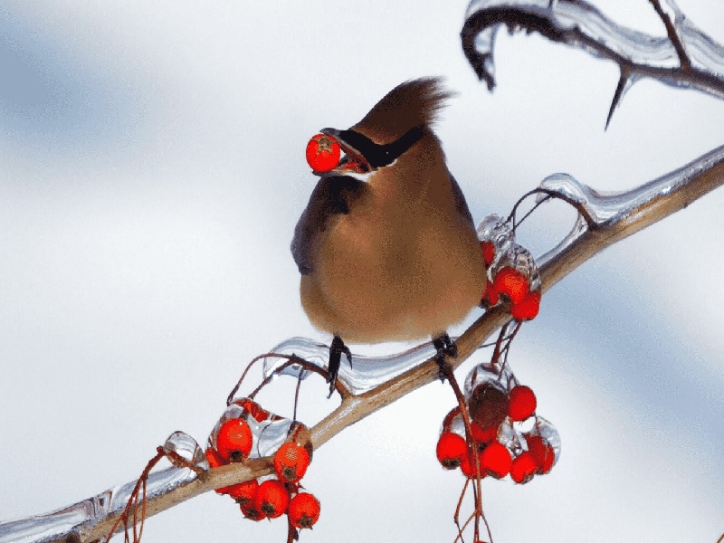 海口做试管当天梦遗（黑豆能做试管吗）
