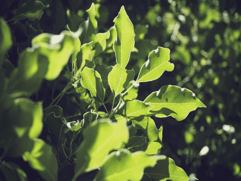 科学试管表情包（怎样清洗试管化学）